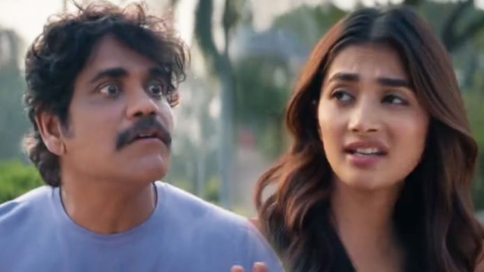  King Nagarjuna Mazaa Ad Akkineni Fans Disappointed , King Nagarjuna, Mazaa Ad Ak-TeluguStop.com