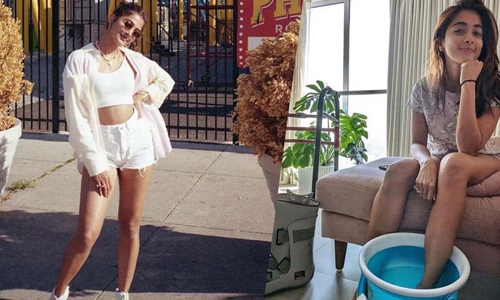 Telugu Acharya, Beast, Bollywood, Pooja Hegde, Radhe Shyam, Ranveer Singh, Tolly