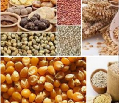  Prices Of Cereals To Be About 15% Higher: Crisil-TeluguStop.com