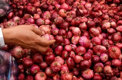  Pricey Onions Become ‘currency’ In Philippines For One Day To Suppor-TeluguStop.com