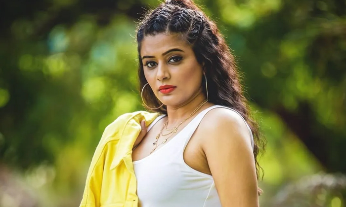  Priyamani New Innings For Film Industry ,ntr, Priyamani,priyamani New Innings,-TeluguStop.com