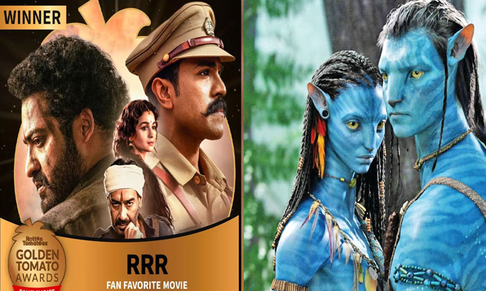  Rrr Wins Golden Tomato Award For Fan Favorite Movie 2022 Rrr,  Avatar 2, Golden-TeluguStop.com