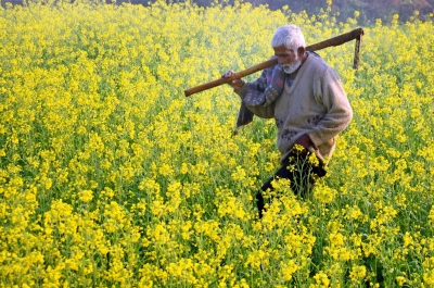  Rs 15,626 Cr Sanctioned Under Agriculture Infrastructure Fund: Govt-TeluguStop.com