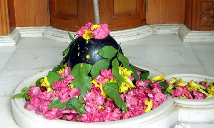 Telugu Bilva Patra, Devotional, Lord Shiva, Maha Shivratri, Parvati Devi, Shival