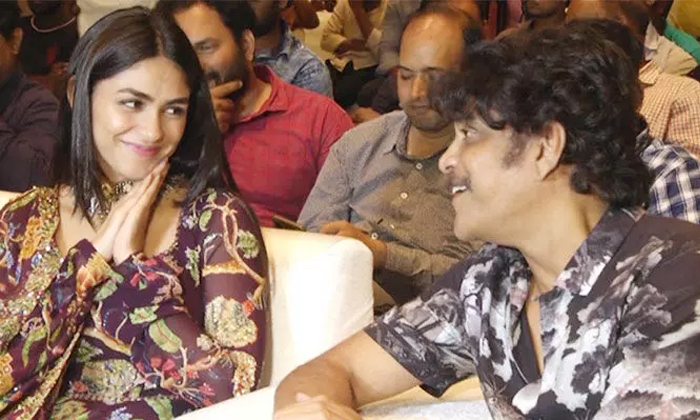  Sitaramam Heroine Mrunal Thakur Movie With Nagarjuna Details, Mrunal Thakur, Nag-TeluguStop.com