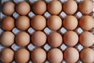  Sl Gives Green Light To Import Eggs From India-TeluguStop.com