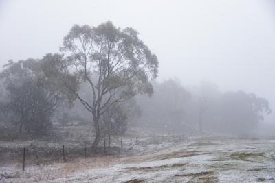  Snow, Heatwave Coincide In Australia-TeluguStop.com