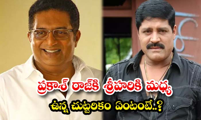  What Is The Distance Between Prakash Raj And Srihari ,prakash Raj , Srihari ,act-TeluguStop.com