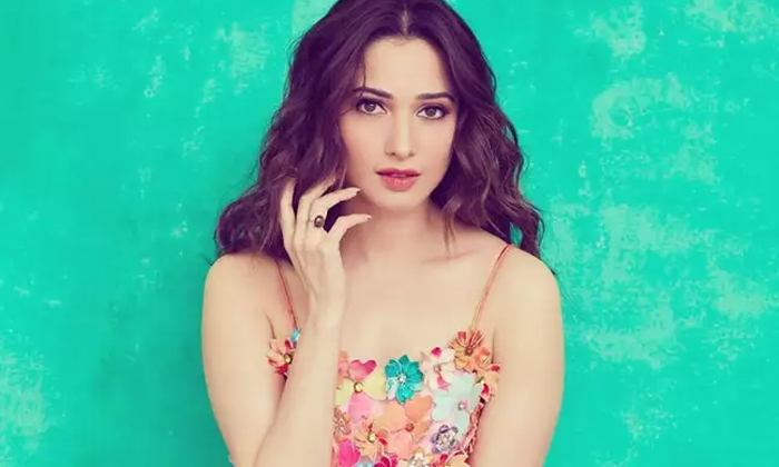 Tamannaah Bhatia Interesting Comments About That Two Films, Tamanna, Tollywood, Tamannaah Bhatia Interesting Comments About That Two Films, Tamanna, Tollywood,-TeluguStop.com