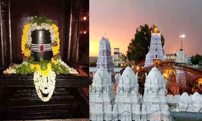 Telugu Bakti, Devotees, Devotional, Rajannatemple, Siricilla, Temporary, Vemulaw