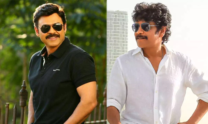  Tollywood Senior Heroes Venkatesh Nagarjuna Struggling For A Hit Details, Tollyw-TeluguStop.com