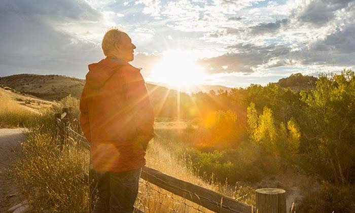 Telugu Cancer, Diabetes, Foods, Tips, Sugar, Tipcontrol, Type Diabetes, Vegetabl Telugu Cancer, Diabetes, Foods, Tips, Sugar, Tipcontrol, Type Diabetes, Vegetabl