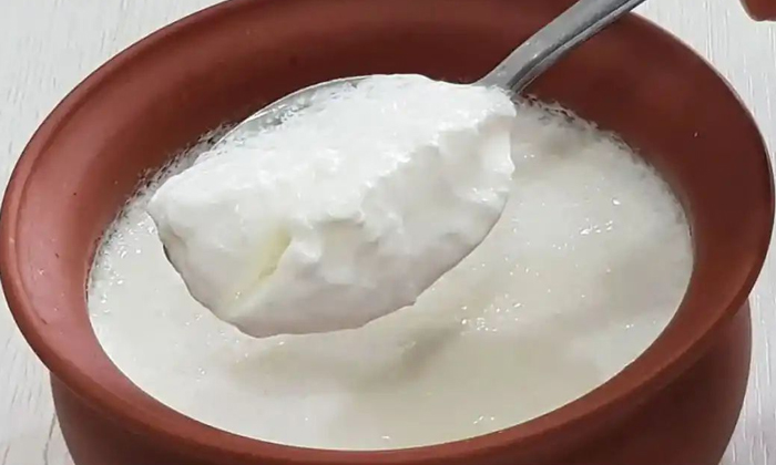  What Are The Side Effects Of Eating Curd Details, Side Effects ,eating Curd, Cu-TeluguStop.com