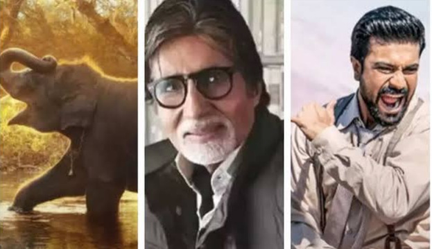  Amitabh Bachchan Celebrates India’s Historic Double Oscar Win-TeluguStop.com