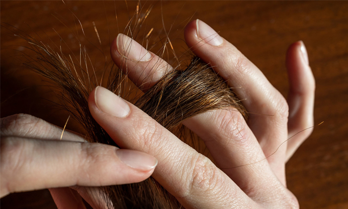  Best Remedy To Get Rid Of Split Ends Naturally Details! Home Remedy, Latest News-TeluguStop.com