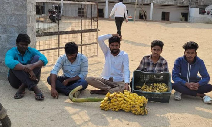  A Contractor Supply Tge Rotten Bananas In Gurukula School , Gurukula , Gurukul-TeluguStop.com