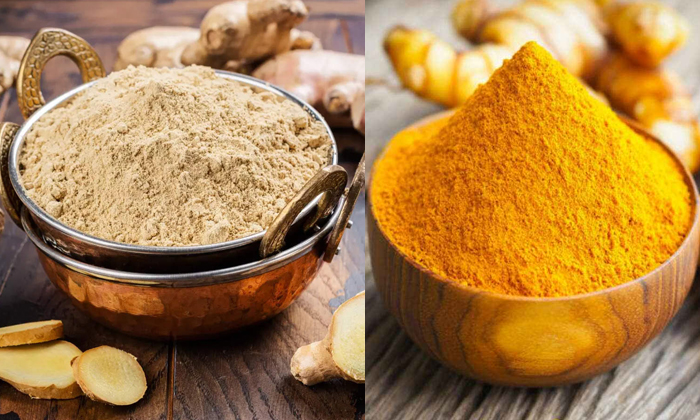 Telugu Belly Fat, Ghee, Ghee Benefits, Ginger Powder, Tips, Latest, Turmeric-Tel