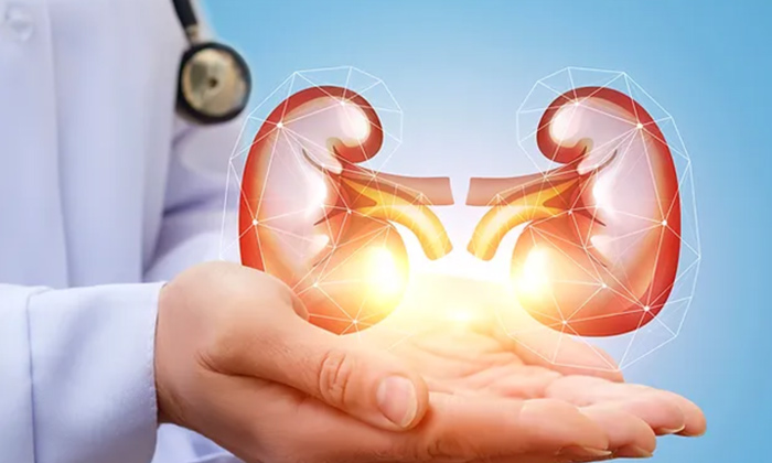  Ways To Keep Your Kidneys Healthy,kidneys Health,kidneys,kidney Infection,stones-TeluguStop.com
