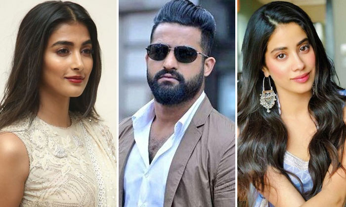  Ntr 30 Second Heroine In Talks , Ntr 30, Janhvi Kapoor, Pooja Hegde, Rashmika Ma-TeluguStop.com