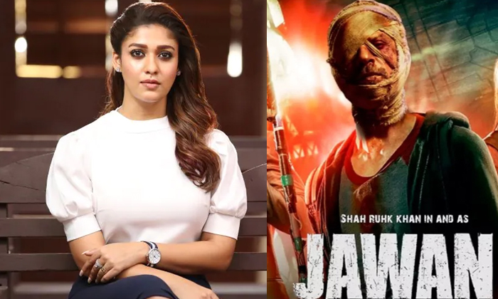  Nayanthara Bikini Treat In Jawaan Movie Details, Shah Rukh Khan, Bollywood, Naya-TeluguStop.com