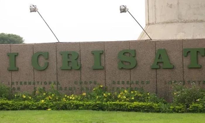 Plasma Water Working As A Vaccine For The Plant, Trees, Vaccine, Plasma Water, S Plasma Water Working As A Vaccine For The Plant, Trees, Vaccine, Plasma Water, S-TeluguStop.com