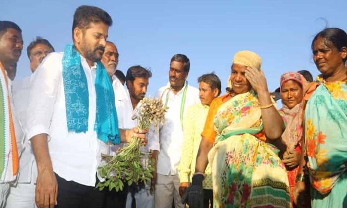 Telugu Congress, Hatse, Revanth Reddy, Ys Sharmila, Ysrcp-Politics