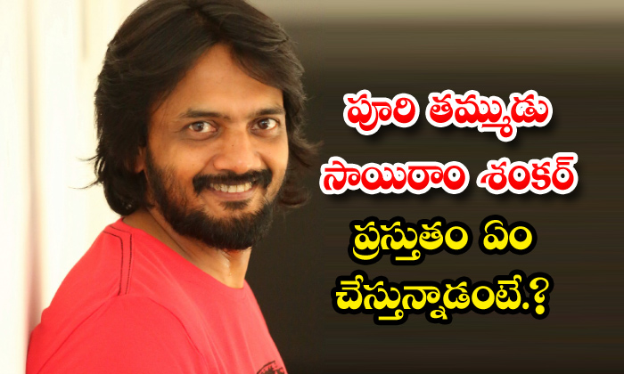  Sairam Shankar Tollywood Movie Offers,puri Jagannadh,sairam Shankar ,sairam Shan-TeluguStop.com