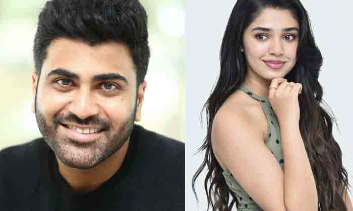  Sharwanand Movie Krithi Shetty Hope, Krithi Shetty, Sharwanand Movie, Factory, P-TeluguStop.com