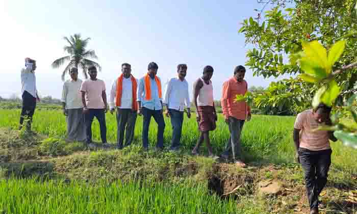  Untimely Rain Is A Huge Loss , Bharatiya Janata Party, Kisan Morcha, Korutlapeta-TeluguStop.com