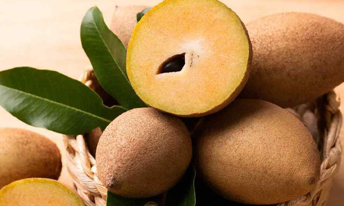  Why Eat Sapota In Summer Details, Sapota, Sapota Benefits, Latest News, Health,-TeluguStop.com