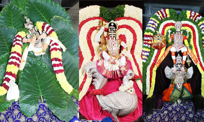Telugu Barhmotsavalu, Bhakti, Devotional-Latest News - Telugu