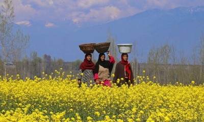  Agriculture, Allied Sectors Get Rs 3,156 Cr In J&k 2023-24 Budget-TeluguStop.com