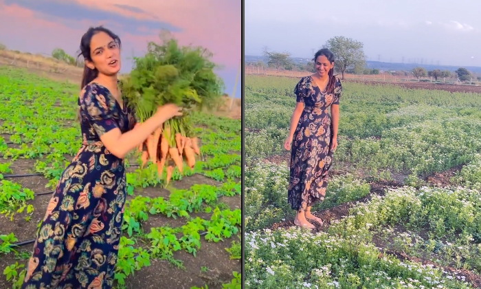  Ariyana Insta Story Viral In The Carrot Field Netizens Trolling-TeluguStop.com