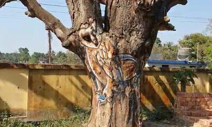  Artist Creating Beautful Images On Trees Trunks To Save Trees Details, Drawing,-TeluguStop.com