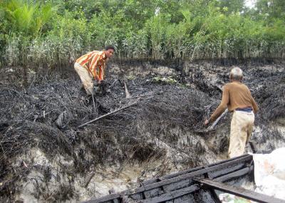  Bangladesh To Ban Single-use Plastic Items In Sundarbans-TeluguStop.com