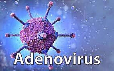 Bengal Accounts For 38% Of Adenovirus Cases In Country: Survey-TeluguStop.com
