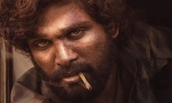 Bolly Wood Star Hero Akshay Kumar In Allu Arjun Pushpa 2 Movie , Akshay Kumar , Bolly Wood Star Hero Akshay Kumar In Allu Arjun Pushpa 2 Movie , Akshay Kumar ,-TeluguStop.com