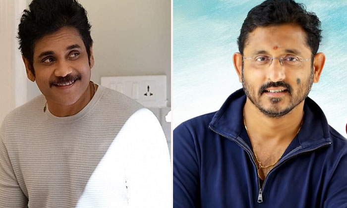  BVS Ravi Going To Do Next Movie With Nagarjuna ,  Bvs Ravi , Nagarjuna, Tollywoo-TeluguStop.com