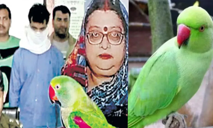  Court Sentenced Life Imprisonment To The Culprits By Parrot Evidence In Agra Det-TeluguStop.com