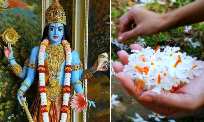  Do You Know Why Flowers Used During Pooja Details, Flowers, Pooja , Pooja Flower-TeluguStop.com