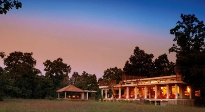  Experience The Magnificence Of The Jungles-TeluguStop.com
