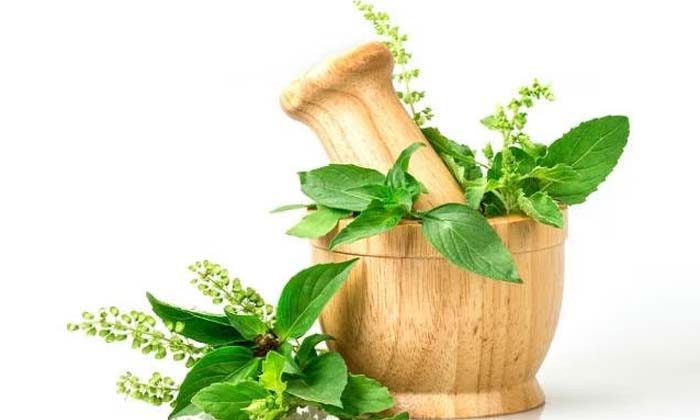  Ayurvedic Tips To Rid Of Fever , Ayurvedic Tips, Fever, Latest News, Health, Hea-TeluguStop.com