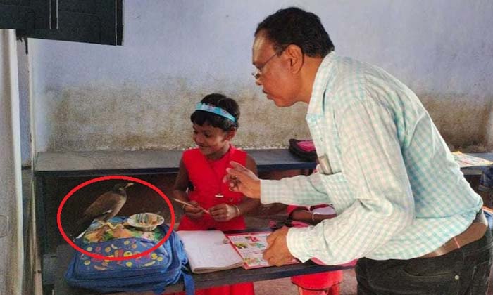  Maina, Who Is Making Friends With The Child Is Going To School Together ,girl, M-TeluguStop.com