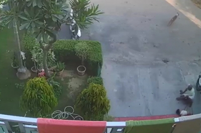 Greater Noida: Stray Dog Attacks Girl, Drags Her Greater Noida: Stray Dog Attacks Girl, Drags Her-TeluguStop.com