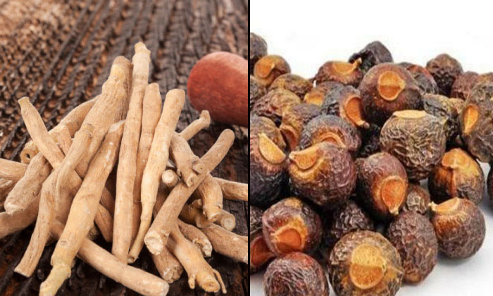  Ashwagandha Has Many Benefits For Hair! Ashwagandha, Ashwagandha Benefits, Hair,-TeluguStop.com