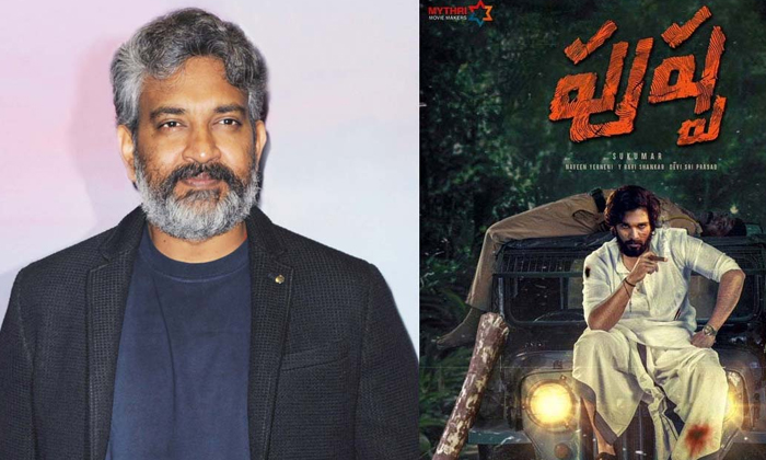 Telugu Alia Bhatt, Ranbir Kapoor, Pushpa, Raha, Rajamouli, Ranbir, Ranbirkapoor,