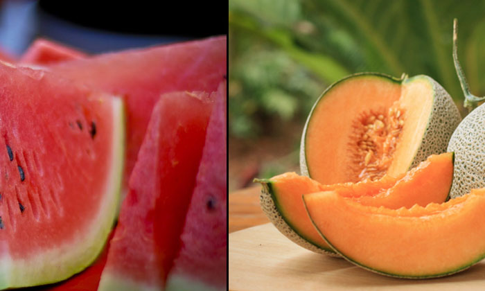  This Melon Juice Helps To Prevent Dehydration! Dehydration, Melon Juice, Waterme-TeluguStop.com