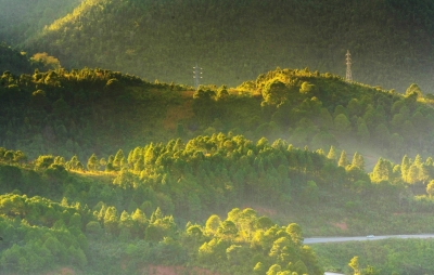  Myanmar Designates New Protected Forest Area To Protect Biodiversity-TeluguStop.com