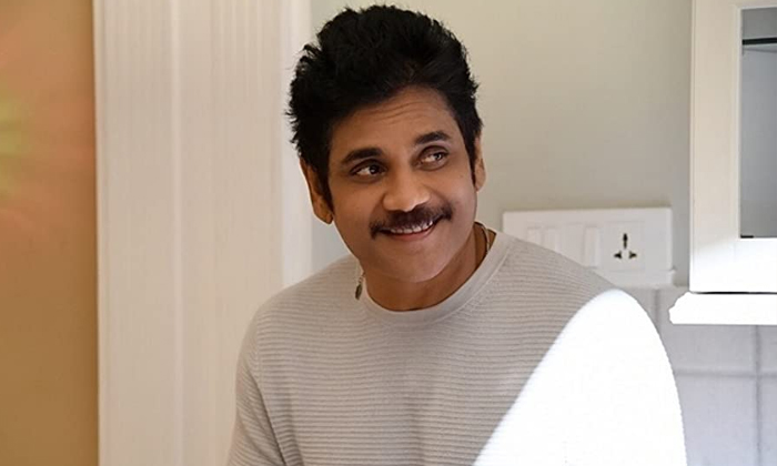  Nagarjuna Prasanna Kumar Bejawada Movie Latest Update , Nagarjuna, Prasanna Kuma-TeluguStop.com