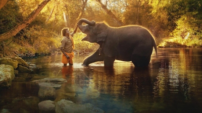  Oscar-winning 'elephant Whisperers' Shot At Theppakadu Camp, Oldest In Asia-TeluguStop.com